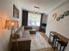 Business-Friendly Residence Flat in Fikirtepe